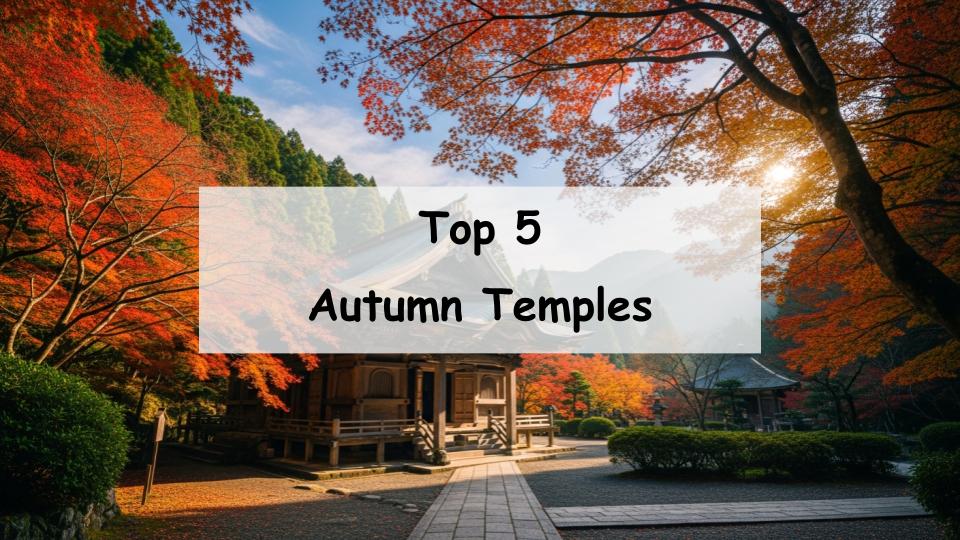 temple japan autumn fall